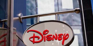 Major Theme Park Incident Sparks Legal and Accountability Concerns