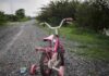 Pink children's bike with training wheels on gravel path.