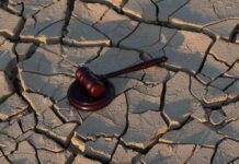 Gavel on cracked, dry ground.