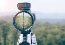 Rifle scope aiming at a distant tree