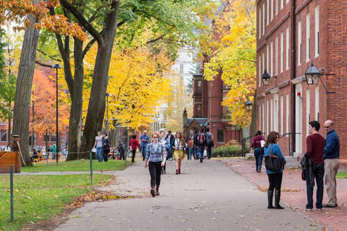 People walking on a college campus in autumn