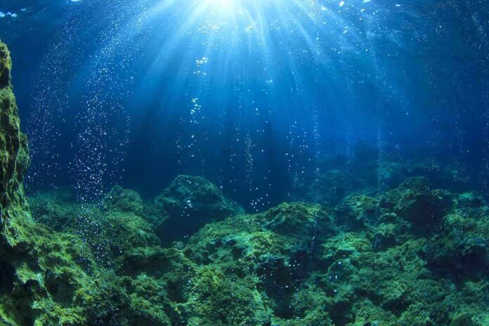 Underwater view showing sunlight rays penetrating the ocean surface with bubbles rising