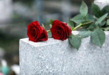 Two red roses on a gray stone.