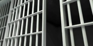 Close-up view of metal prison bars in a dark environment