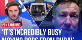 Stranded dogs in Dubai: What's the situation