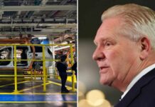 Ford CEO’s DEVASTATING Warning Stuns America Ford CEO's DEVASTATING Warning Stuns America