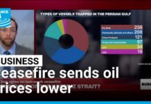 Oil Price COLLAPSES — Biggest Since 1991