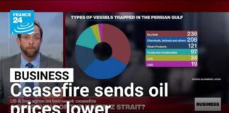 Oil Price COLLAPSES — Biggest Since 1991
