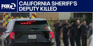 Sheriff Goes Beast Mode On Suspect Who Killed Cop