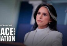 Tulsi Gabbard FLIPS - Cranks Up Heat On Whistleblower