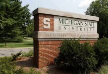 Sign for Michigan State University surrounded by greenery