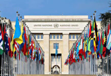 Israel Cuts U.N Ties After Unprecedented Snub! United Nations building with numerous national flags outside.