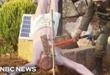 Israeli Soldiers BUSTED Desecrating Christian Monuments