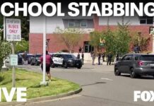 Teens Film STABBING Spree—Shared Before Cops Arrive