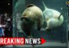 Zoo Incinerator HORROR - Wife BURNED Alive