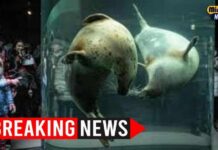 Zoo Incinerator HORROR - Wife BURNED Alive