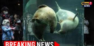 Zoo Incinerator HORROR - Wife BURNED Alive