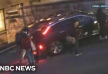 Cornell University president accused of backing into student in parking lot confrontation
