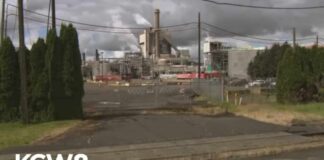 Multiple fatalities in chemical plant implosion at Nippon Dynawave facility in Longview | UPDATE
