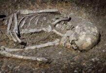 1,500-Year-Old Gold Weapon Stuns Experts Excavated human skeleton partially embedded in soil