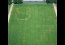 Mystery Giant Code Appears on National Mall Lawn! Mystery Giant Code Appears on National Mall Lawn!