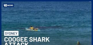 Shark Attack At Coogee Beach Leaves Swimmer Fighting For Life | 10 News