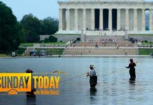 Olympian ARRESTED – Serious Government Property Destruction! Ex-Olympian Arrested for Allegedly Touching Reflecting Pool Floor
