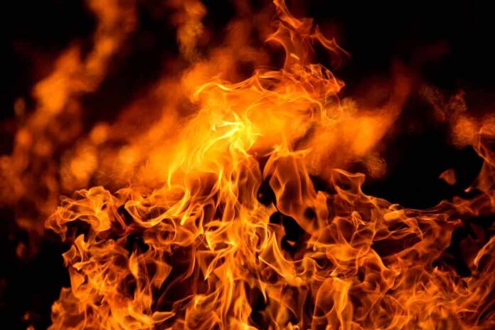 Close-up of vibrant flames against a dark background