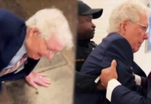 Senator Found UNCONSCIOUS – Rumors Swirl The Mitch McConnell thing is getting REALLY WEIRD