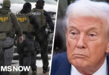 ICE Tracks U.S Citizen For Months After He Emailed THIS! A man emailed DHS criticizing its immigration crackdown – 5 months later agents knocked on his door