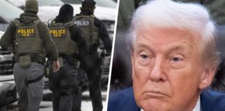 A man emailed DHS criticizing its immigration crackdown – 5 months later agents knocked on his door