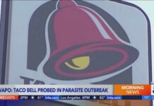 Chaos Hits Fast Food Franchise – Nationwide Diarrhea! Taco Bell investigated as part of cyclospora parasite outbreak, report says