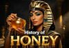 Archaeologists Find 3,000 Year Old Honey – Still Edible! History of Honey — The Golden Liquid That Ruled Civilizations
