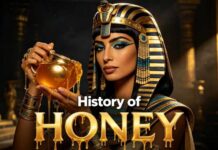 Archaeologists Find 3,000 Year Old Honey – Still Edible! History of Honey — The Golden Liquid That Ruled Civilizations