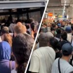 Crowds Break Down Store Doors in Frenzy for AC Units Amid France Heatwave