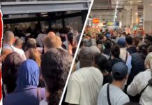 Heatwave Frenzy Erupts in Stores Over THIS! Crowds Break Down Store Doors in Frenzy for AC Units Amid France Heatwave