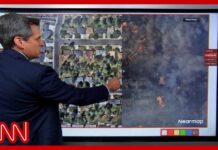 Shocking Satellite Pics Show Wildfire Before and After Arson arrest made in WA fires; satellite images show devastation