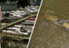 Ancient Artifacts Emerge As Natural Lake Vanishes Sunken Ship Uncovered After Historic Danube Drought Leaves Marina Dry