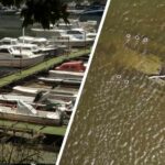 Ancient Artifacts Emerge As Natural Lake Vanishes Sunken Ship Uncovered After Historic Danube Drought Leaves Marina Dry