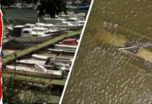 Ancient Artifacts Emerge As Natural Lake Vanishes Sunken Ship Uncovered After Historic Danube Drought Leaves Marina Dry