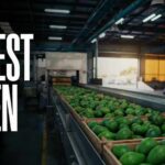 Consumer Outrage: Avocado Pipeline Suddenly Freezes U.S. Halts Avocado Inspections in Michoacan — Harvest Frozen