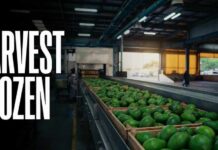 Consumer Outrage: Avocado Pipeline Suddenly Freezes U.S. Halts Avocado Inspections in Michoacan — Harvest Frozen