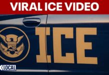 SHOCK Footage of ICE Agent Aiming Gun at Woman Viral video shows ICE agent pointing gun at driver during Falls Church encounter