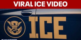 Viral video shows ICE agent pointing gun at driver during Falls Church encounter
