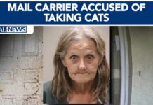 Hoarder Kept Over 100 Animals in Feces-Filled House of Horrors Florida mail carrier accused of taking cats near her routes