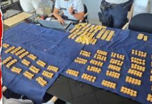Workers Find $10 Million in Gold During Construction $10M Gold Stash Found Hidden in Brewery Cellar