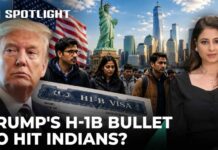 Trump H-1B Visa Order Sends Shockwaves Through Immigrant Communities Will Trump's Proposed H-1B Fee Hit Indian Tech Workers in US? | Immigration | Spotlight