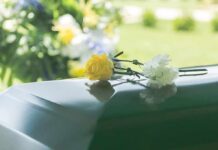 TV Star-Turned-Congressman Dies Aged 84 Yellow rose and white carnation on a green casket