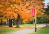 University Dean ARRESTED In Upskirt Sting Autumn trees along a campus pathway with red banners on poles