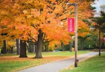 University Dean ARRESTED In Upskirt Sting Autumn trees along a campus pathway with red banners on poles